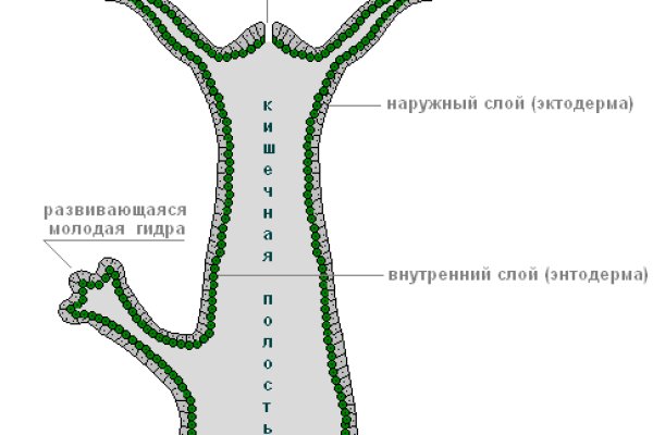 Какая ссылка на кракен