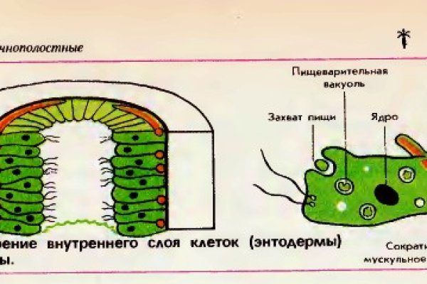 Запрещенный сайт кракен